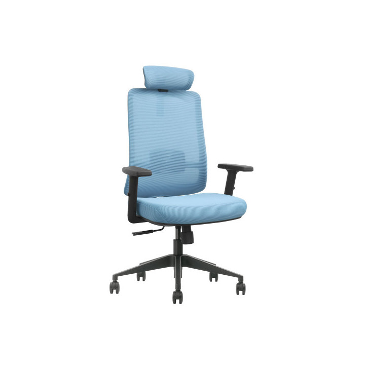 SKILLCHAIRS GV1-BH-12 Chaise ergonomique SKILLCHAIRS Maroc