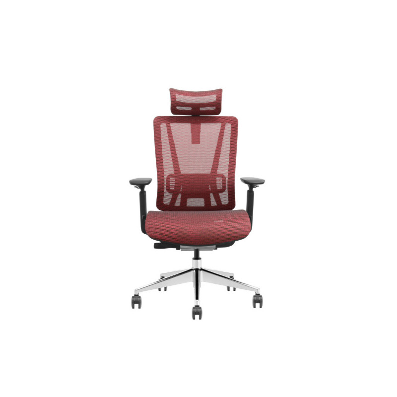 SKILLCHAIRS T1-BH-01