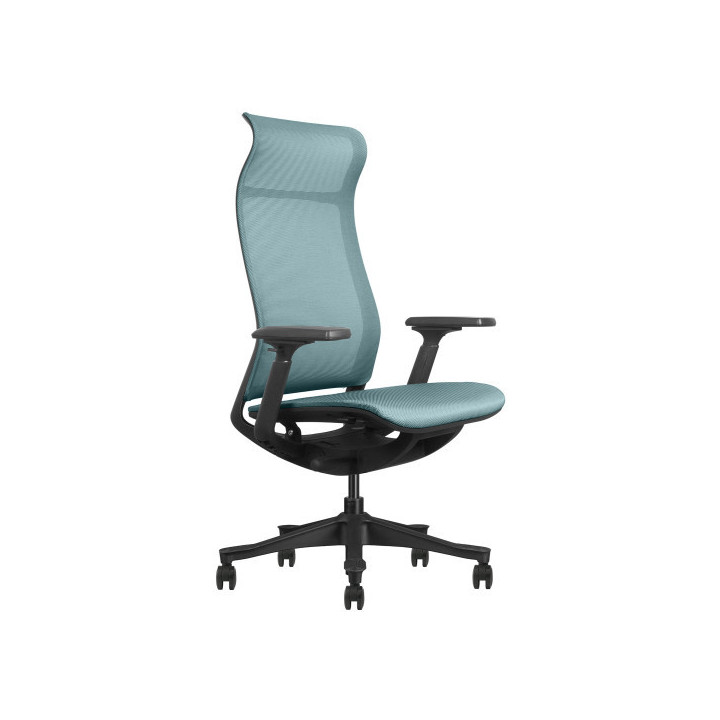 SKILLCHAIRS V5-BH-02 Chaise ergonomique SKILLCHAIRS Maroc