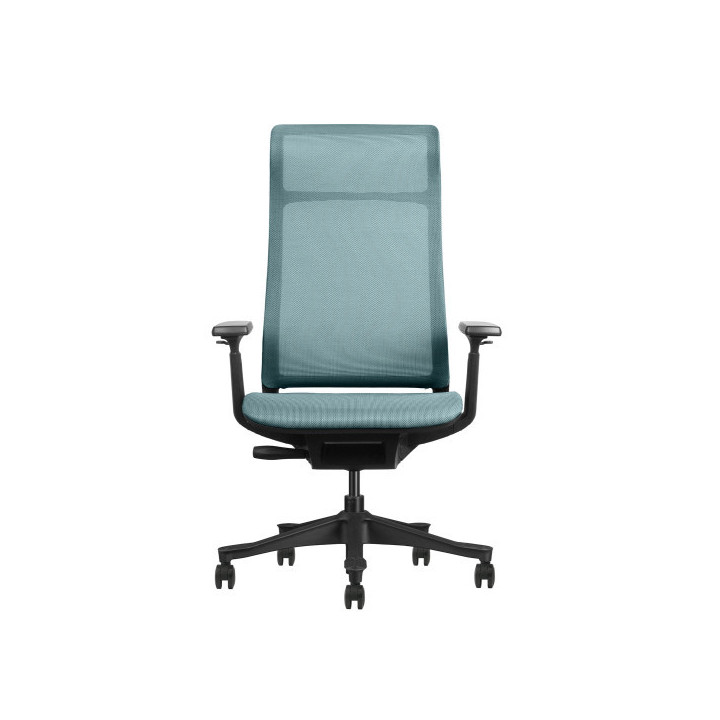 SKILLCHAIRS V5-BH-02 Chaise ergonomique SKILLCHAIRS Maroc