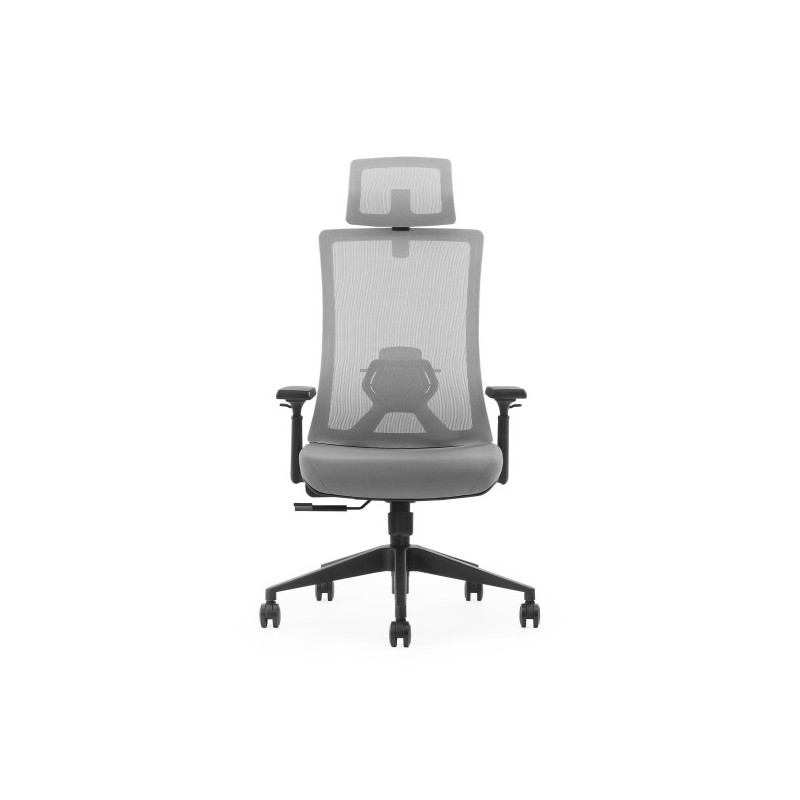 SKILLCHAIRS K9-BH-02