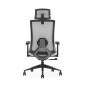 SKILLCHAIRS K9-BH-02
