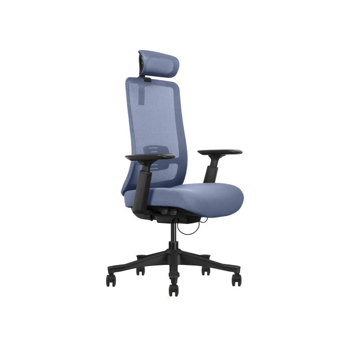 SKILLCHAIRS V1-BH-02 Chaise ergonomique SKILLCHAIRS Maroc