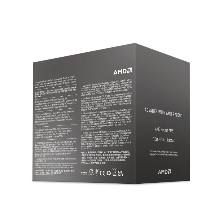 AMD Ryzen 5 8400F Wraith Stealth (4.2 GHz / 4.7 GHz) Processeurs AM...