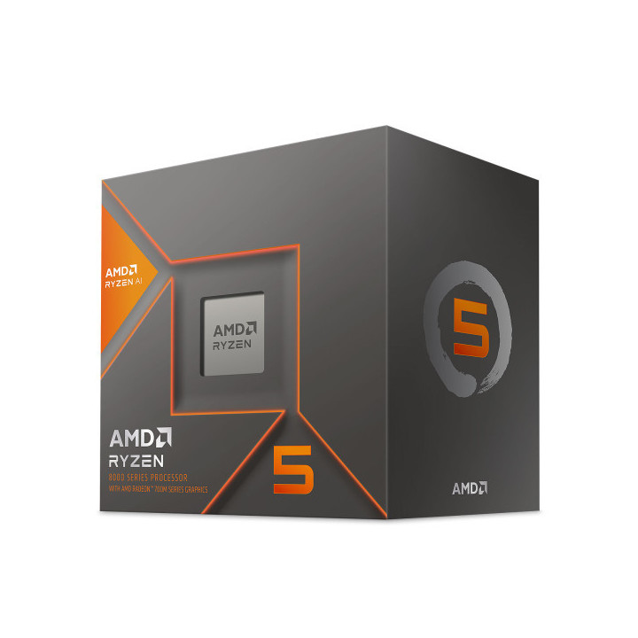 AMD Ryzen 5 8600G Wraith Stealth (4.3 GHz / 5.0 GHz) Processeurs AM...