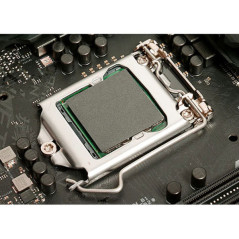 Thermal Grizzly Carbonaut (38 x 38 mm) Pâte thermique PC Thermal Gr...