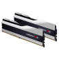 G.Skill Trident Z5 Series 32Go (2x 16Go) DDR5 6000 MHz CL36 - Silver