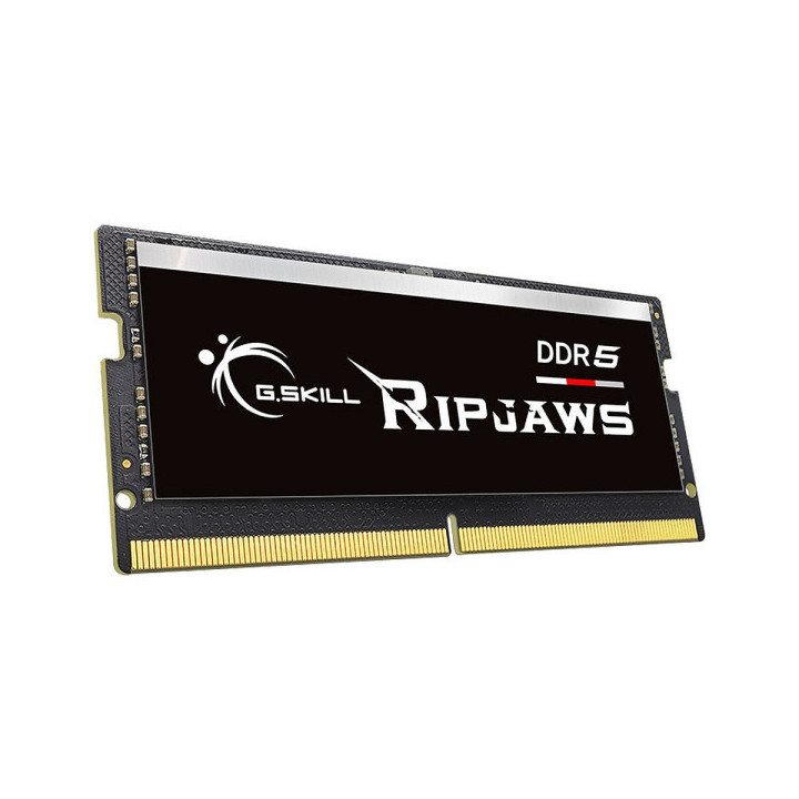 G.Skill RipJaws Series SO-DIMM 16Go (1 x 16Go) DDR5 4800 MHz CL40 M...