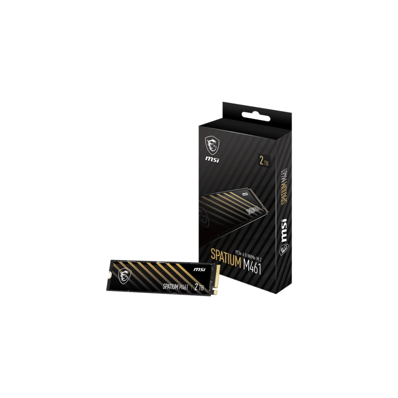 MSI SPATIUM M461 NVMe M.2 2TB