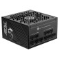 MSI MAG A1250GS PCIE5 80PLUS Gold 1250W