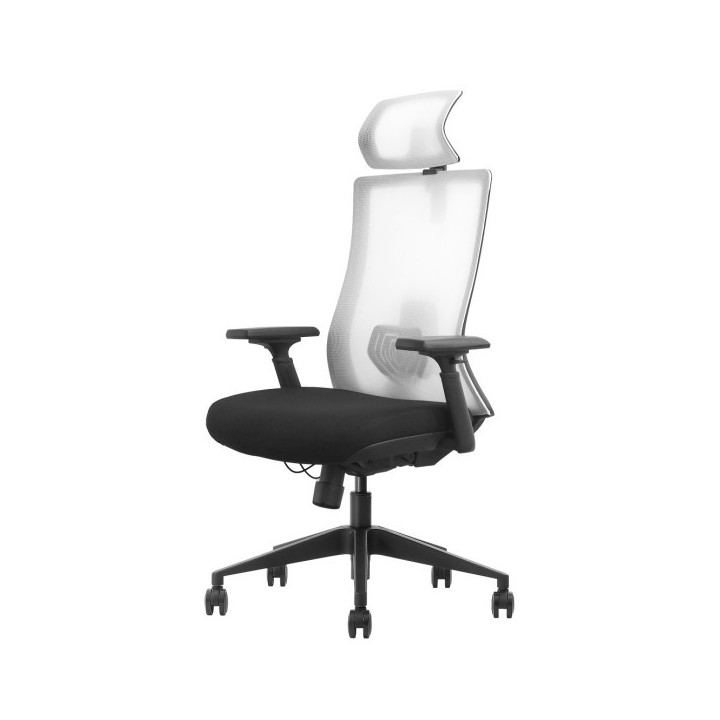 SKILLCHAIRS Ergo Riviera Black Chaise ergonomique SKILLCHAIRS Maroc