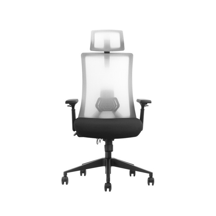 SKILLCHAIRS Ergo Riviera Black Chaise ergonomique SKILLCHAIRS Maroc