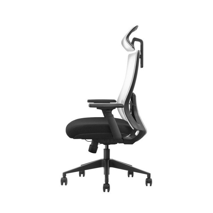 SKILLCHAIRS Ergo Riviera Black Chaise ergonomique SKILLCHAIRS Maroc