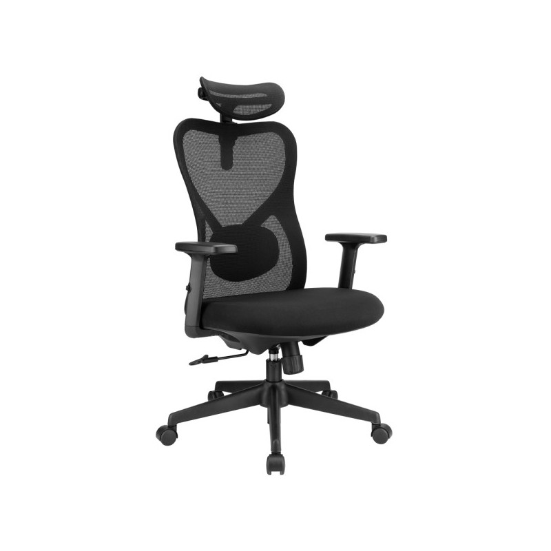 SKILLCHAIRS Ergo Alaska