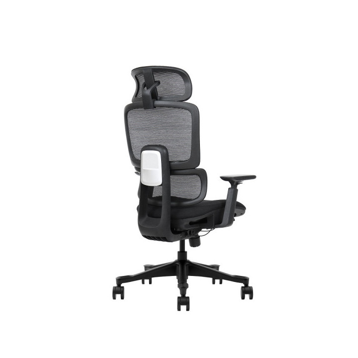 SKILLCHAIRS Ergo Vita Chaise ergonomique SKILLCHAIRS Maroc