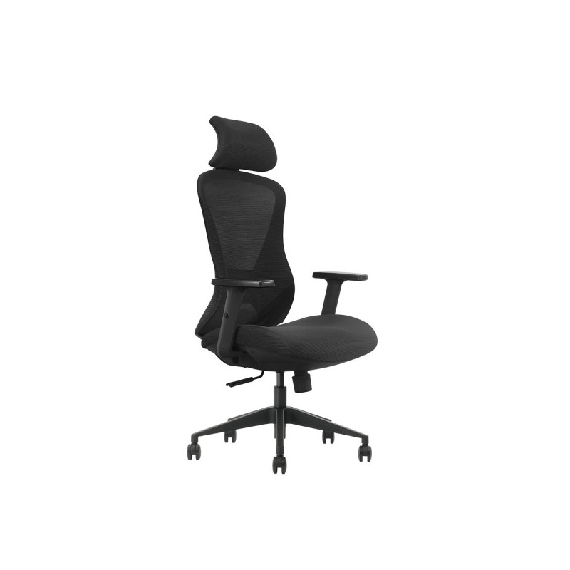 SKILLCHAIRS Ergo Estrella SKILLCHAIRS Ergo Estrella
