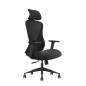 SKILLCHAIRS Ergo Estrella SKILLCHAIRS Ergo Estrella