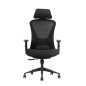 SKILLCHAIRS Ergo Estrella SKILLCHAIRS Ergo Estrella
