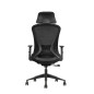 SKILLCHAIRS Ergo Estrella SKILLCHAIRS Ergo Estrella