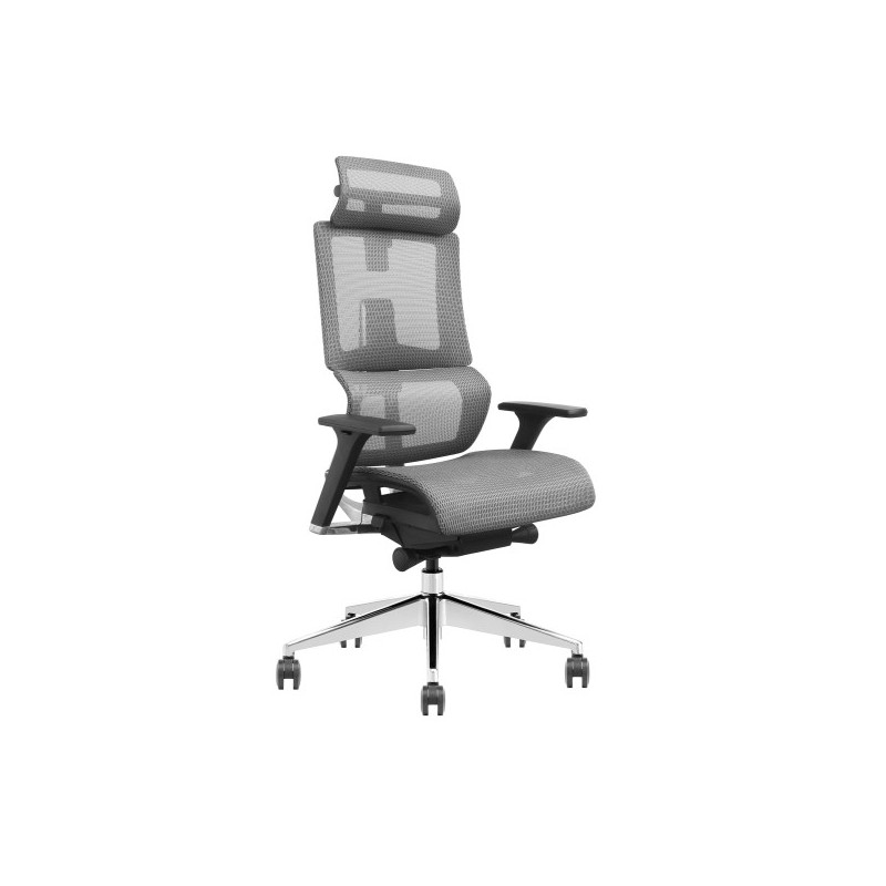 SKILLCHAIRS X6-BH-01 (Gray) SKILLCHAIRS X6-BH-01 (Gray)