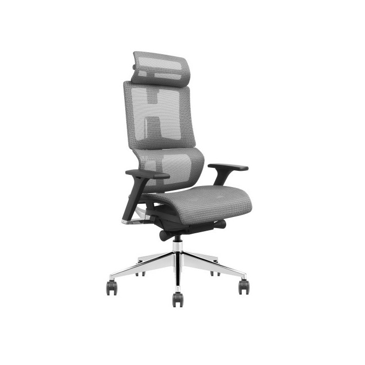 SKILLCHAIRS X6-BH-01 (Gray) Chaise ergonomique SKILLCHAIRS Maroc