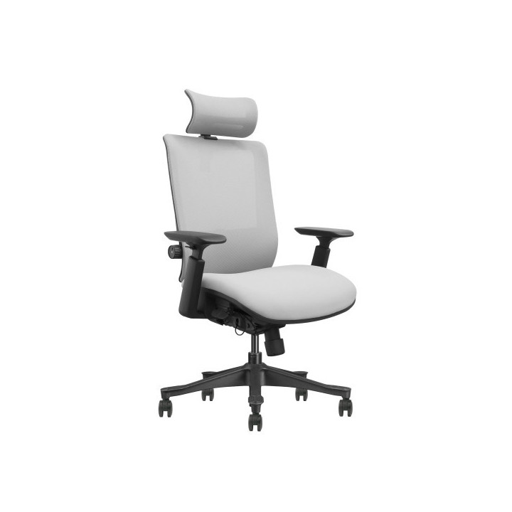 SKILLCHAIRS SM6F-BH (Gray) Chaise ergonomique SKILLCHAIRS Maroc