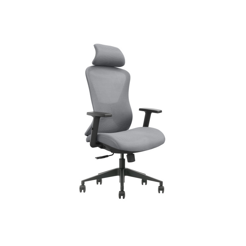 SKILLCHAIRS GK2-BH-12 (Gray)